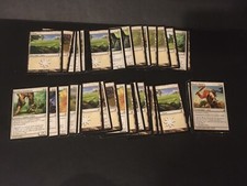 Mtg Magic Lorwyn Wizened Cenn 43 Cards job lot x6 Uncommon