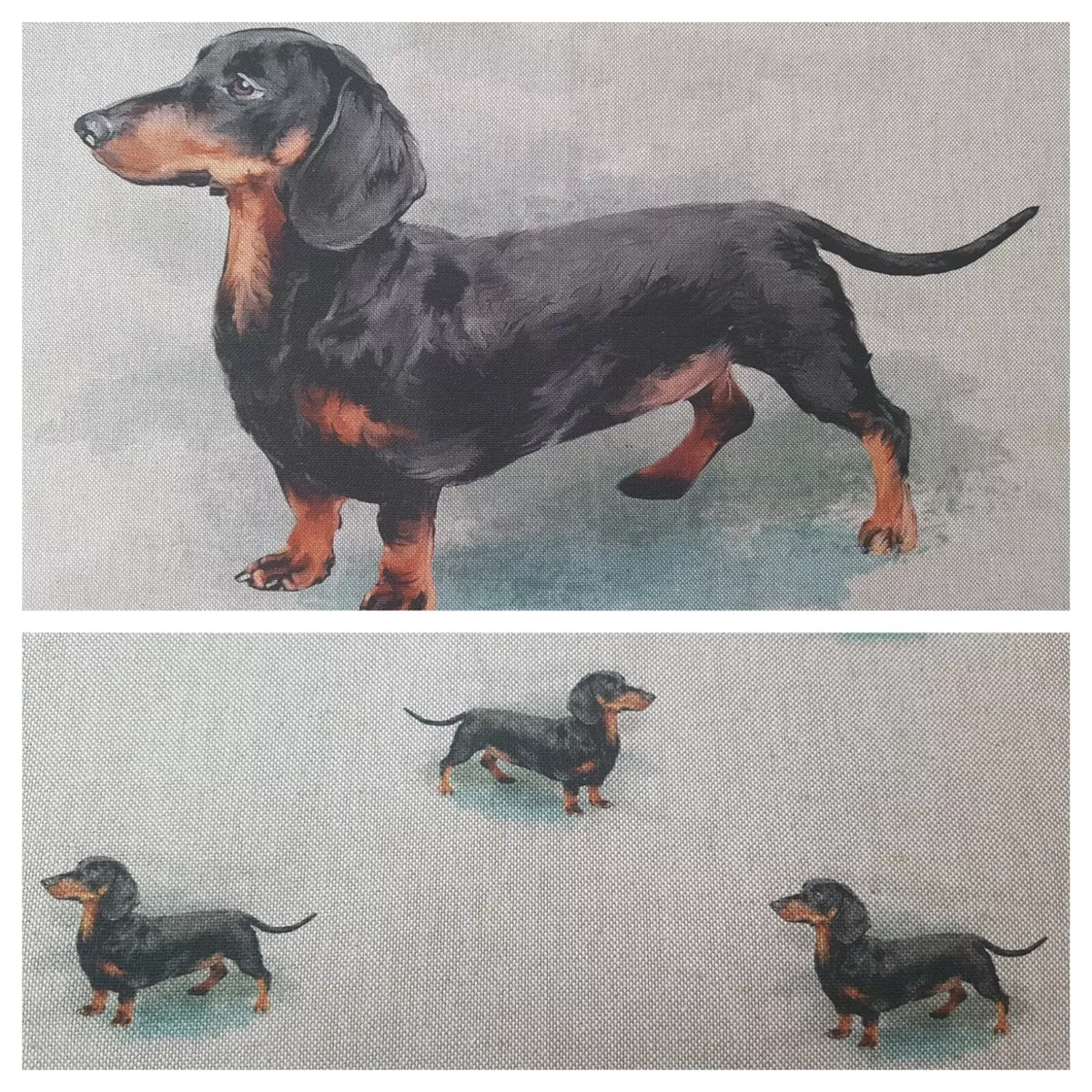 Weiner dog clearance material