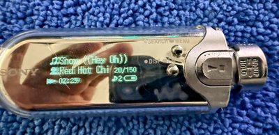 Sony Walkman NW-E507 Silver ( 1 GB ) Digital Media Player for sale