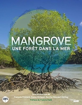 Mangrove ein Wald im Meer - François Fromard - V2285539