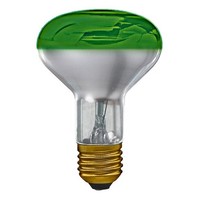 Merkur Reflektor R80 Strahler GlüHbirne 60Watt E27 GlüHlampe Farbig GrüN Dimmbar