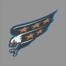 Washington Capitals 5 NHL Team Pro Sports Vinyl Sticker Decal Car Window Wall