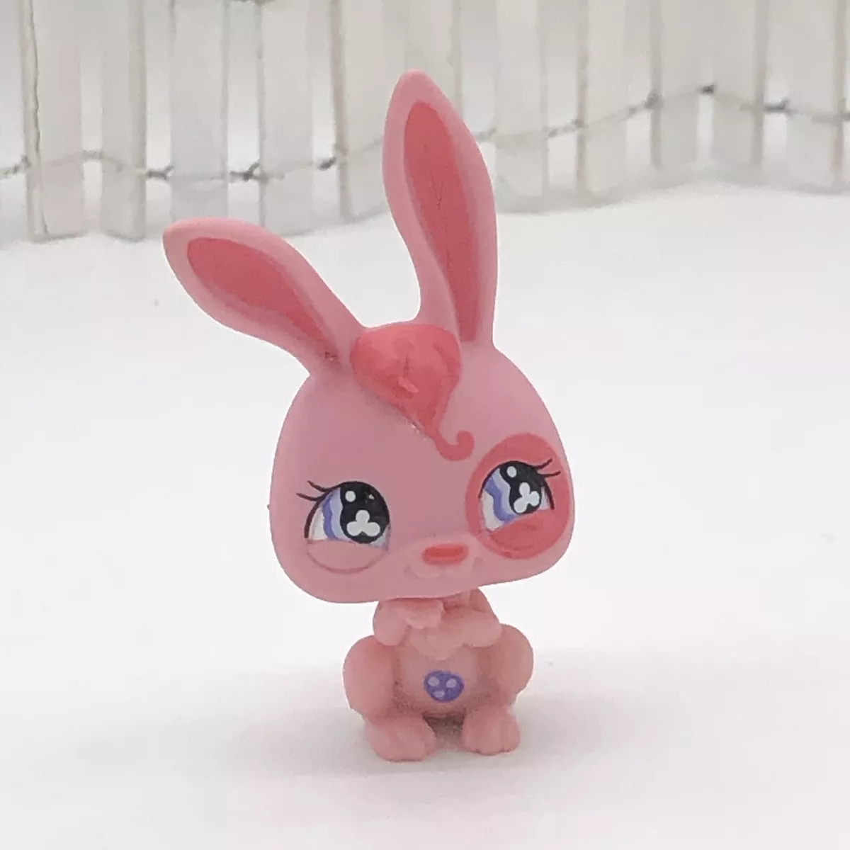 Bunny pet shop near me sales