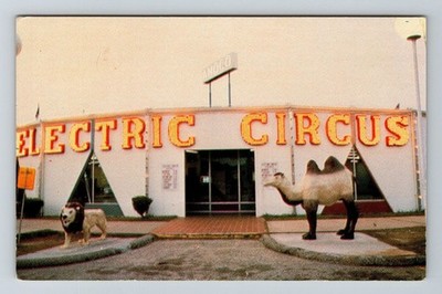 SC-South Carolina, Electric Circus At The Border, Vintage Postcard