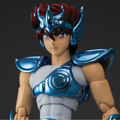 Premium BANDAI SAINT CLOTH MYTH PEGASUS SEIYA EARLY BRONZE CLOTH