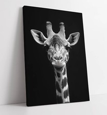 BLACK AND WHITE GIRAFFE HEAD PORTRAIT FRAMED CANVAS WALL ART PICTURE PRINT