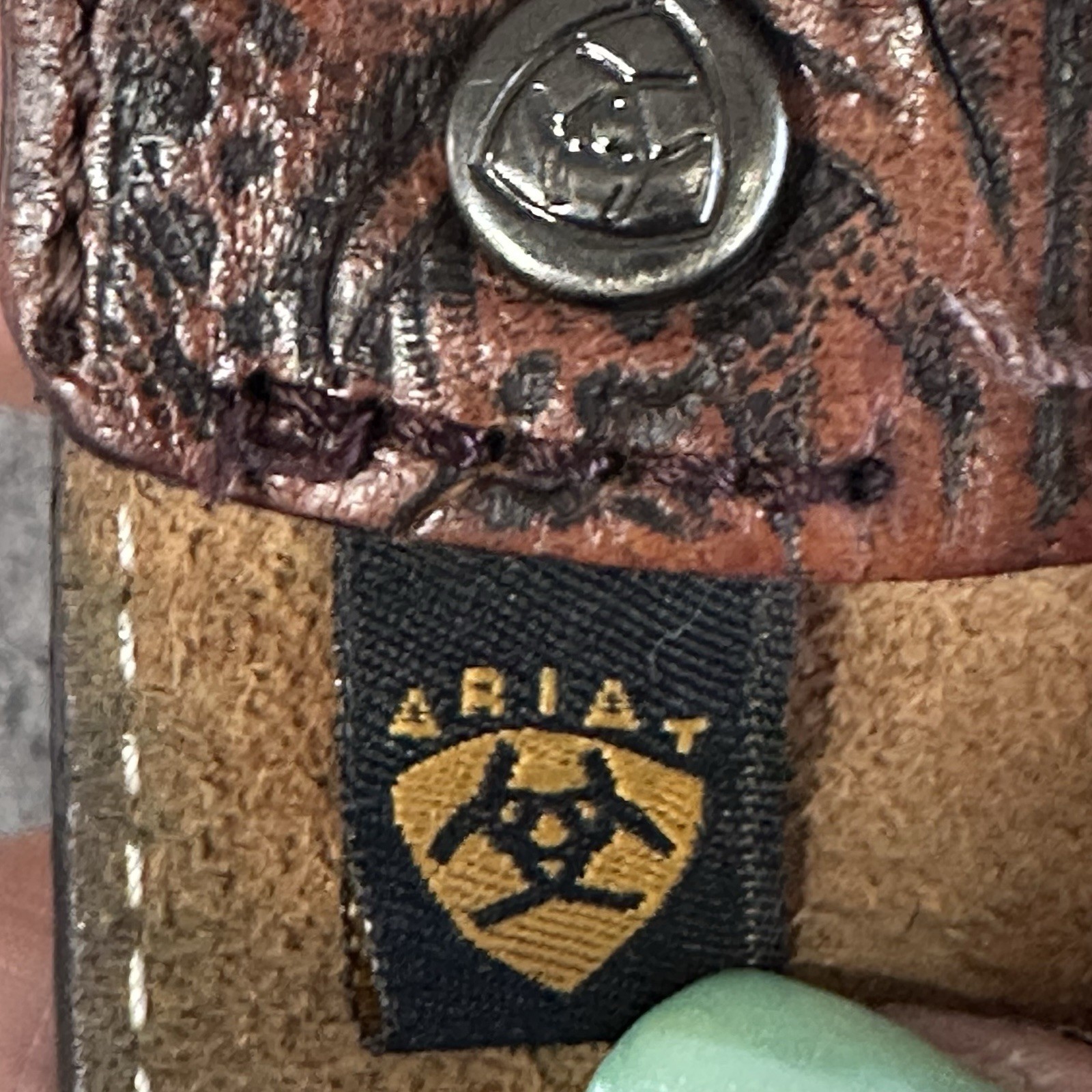 Picture 4 of 5