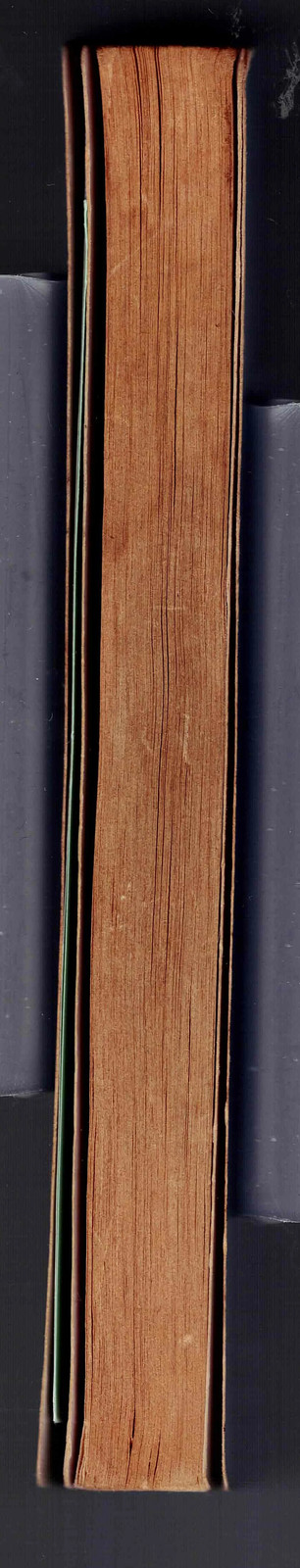 Picture 4