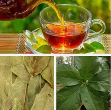 Organic Dried Avocado Leaves Powder 100% Natural Ceylon Green Tea