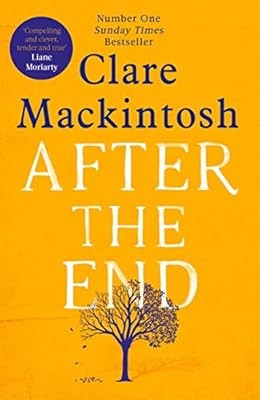 After the End: The most moving book youll read in 2019, Mackintosh, Clare, Used;