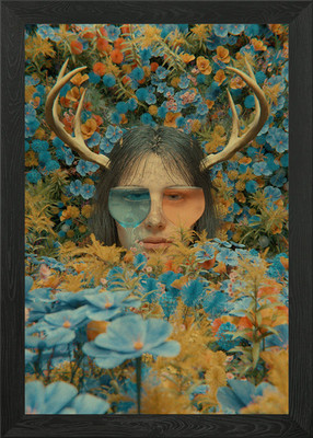Spun Girl 3D Framed Wall Art Poster Canvas Print Picture