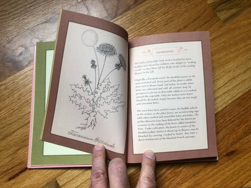 COOKING WITH FLOWERS: WHERIN AN AGE-OLD ART IS REVIVED by Hanle, Zack: - Picture 11 of 11