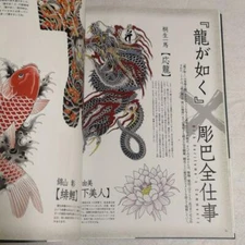 Yakuza 10th anniversary Ryu Ga Gotoku Taizen Illustration Art Book used