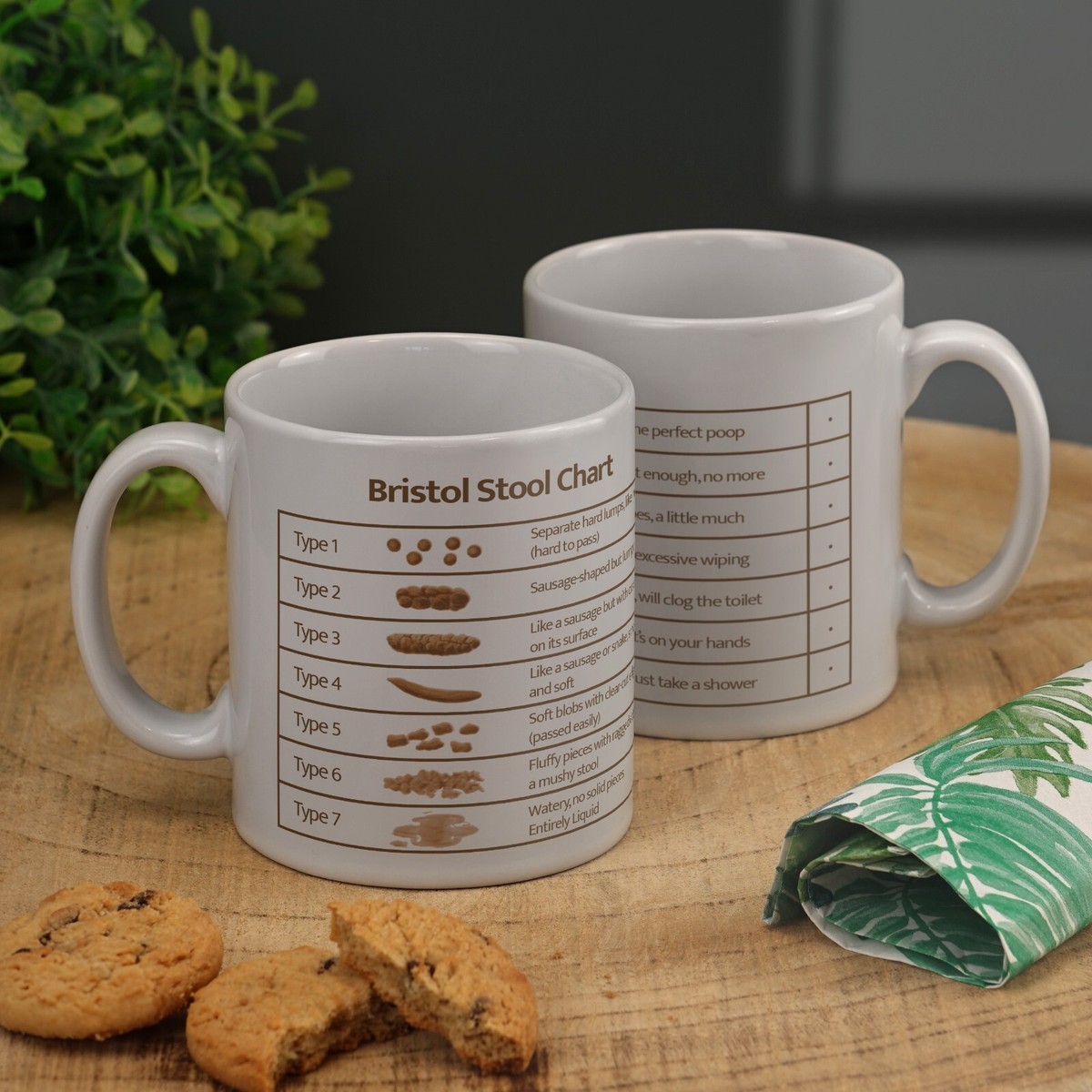 Too Much Caffeine Caffeine Loose Stools To Feed Your Best Human