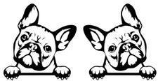 Peeking French Bulldog Two 5" Black vinyl decal car truck laptop Door Mirror