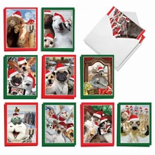 The Best Card Company - 20 Animal Christmas Cards Bulk (10 Designs, 2 Each) -...