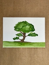 ACEO original artist trading cards watercolor flowers floral trade pretty garden