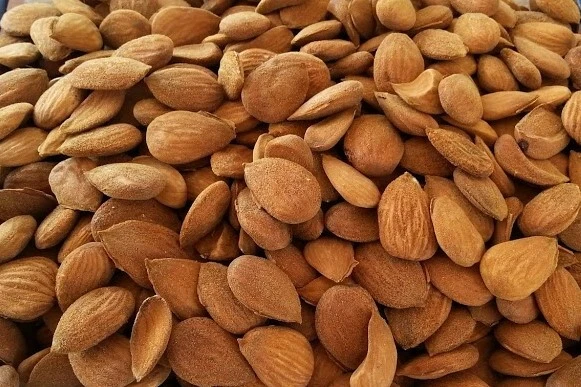 mandorle sgusciate nuove italia naturali mandorla siciliana italiana sicilia 1kg