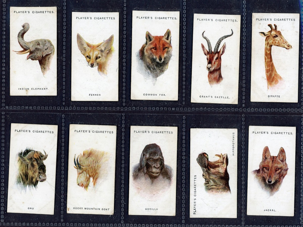 john player cigarette cards aircraft of the royal air force Tobacco Cards 1938 John Player Aircraft of the Royal Air Force