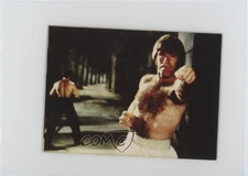 1974 Yamakatsu Towa Bruce Lee Dragon Series Bruce Lee Chuck Norris #83 07yc