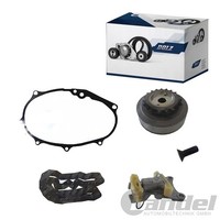 Dolz Steuerkettensatz Passend FüR Audi A1 A3 A4 A6 TT Seat Altea Exeo Leon