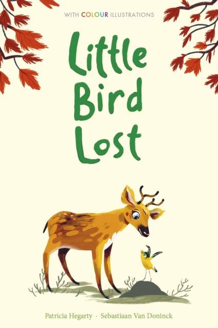 Little Bird Lost (Colour Fiction)