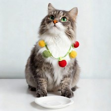 6Pcs Persimmon Shaped Bite Resistant Catnip Cat Chew Playing, 3 Color 45 x 5cm 