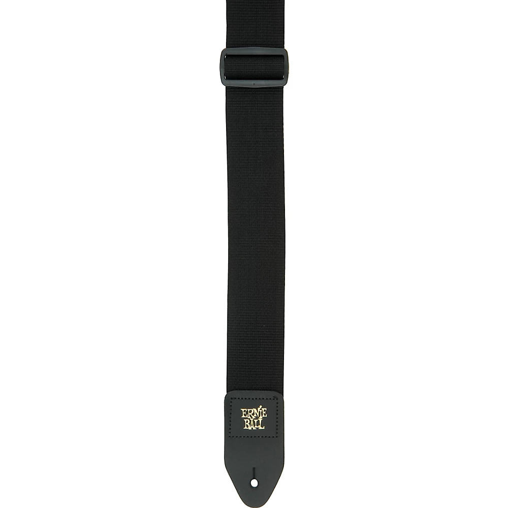 Ernie Ball 2 Poly Pro 2690₽