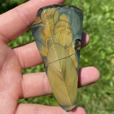 Blue Mountain Jasper Orbicular Rough Stone 4.44 Oz
