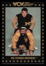 1991 Championship Marketing WCW World Championship Wrestling Cards Pick Choose