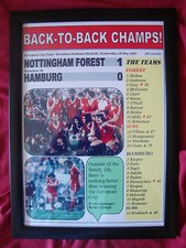 Nottingham Forest 1 Hamburg 0 - 1980 European Cup final - framed print 