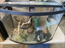Reptile tank with accessories