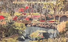 Dickson Azalea Park Dedicated 1924 Sen Walter Rose Orlando FL Vtg Postcard CP417
