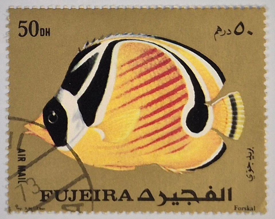 FUJAIRAH Fujeira U.A.E. 1973 Set of Coral Fish Stamps Unmounted NH XF - Image 3 of 4