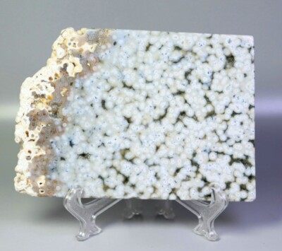 Natural Ocean Jasper Agate Quartz Crystal Stone Slice Mineral Specimen / Stand