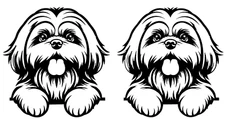 Shih Tzu Peeking Two Black Vinyl Decals Car Truck Windows Laptop Tablet Tumbler