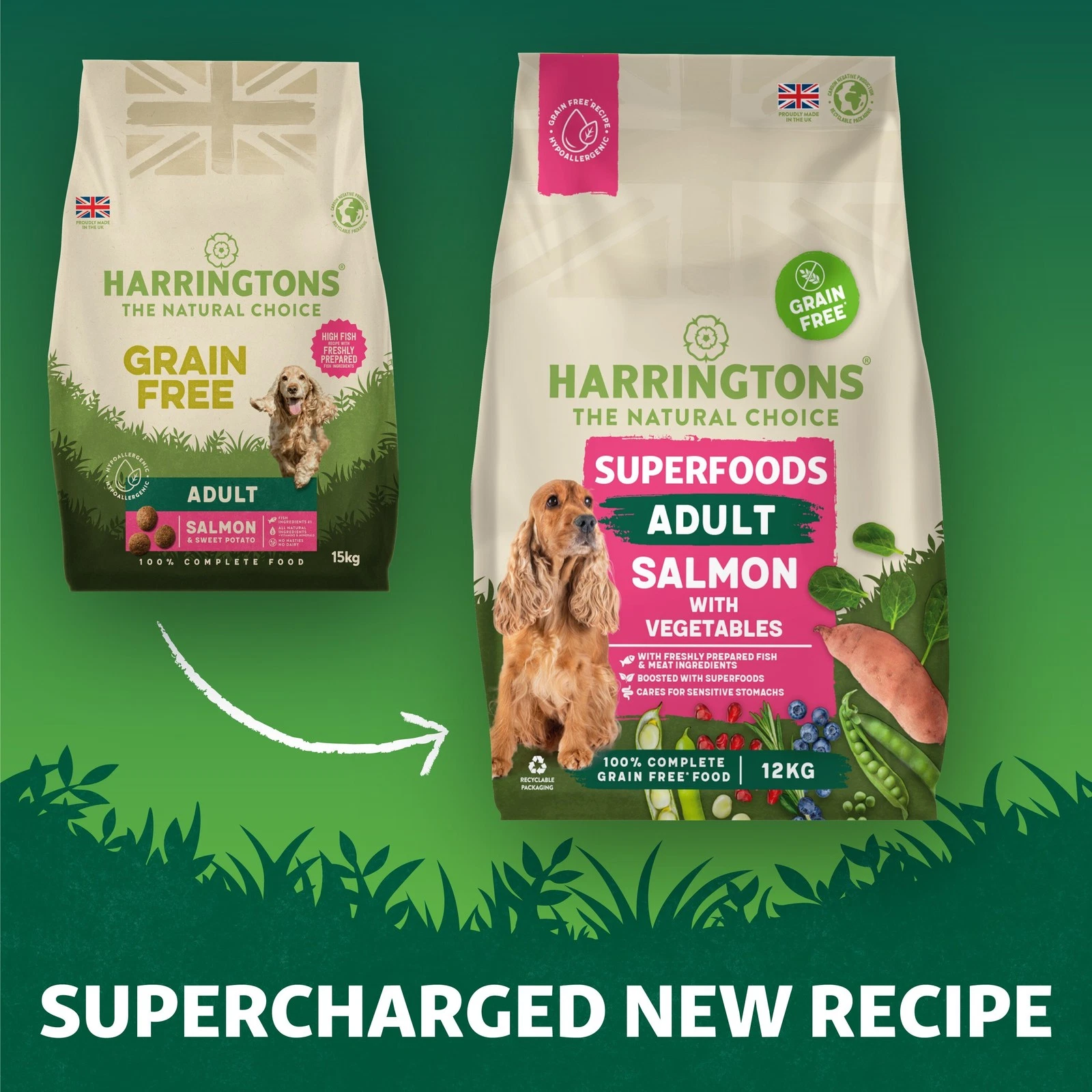 Harrington's Grain Free Superfoods Salmon Dry Dog Food - 12kg
Opens in a new window or tab