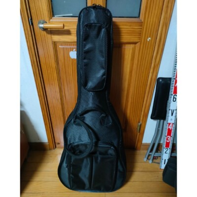 Acoustic Guitar Fender PM-2 AM NE NAT Natural Paramount