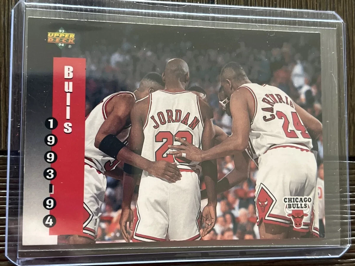 Air jordan deals chicago 213