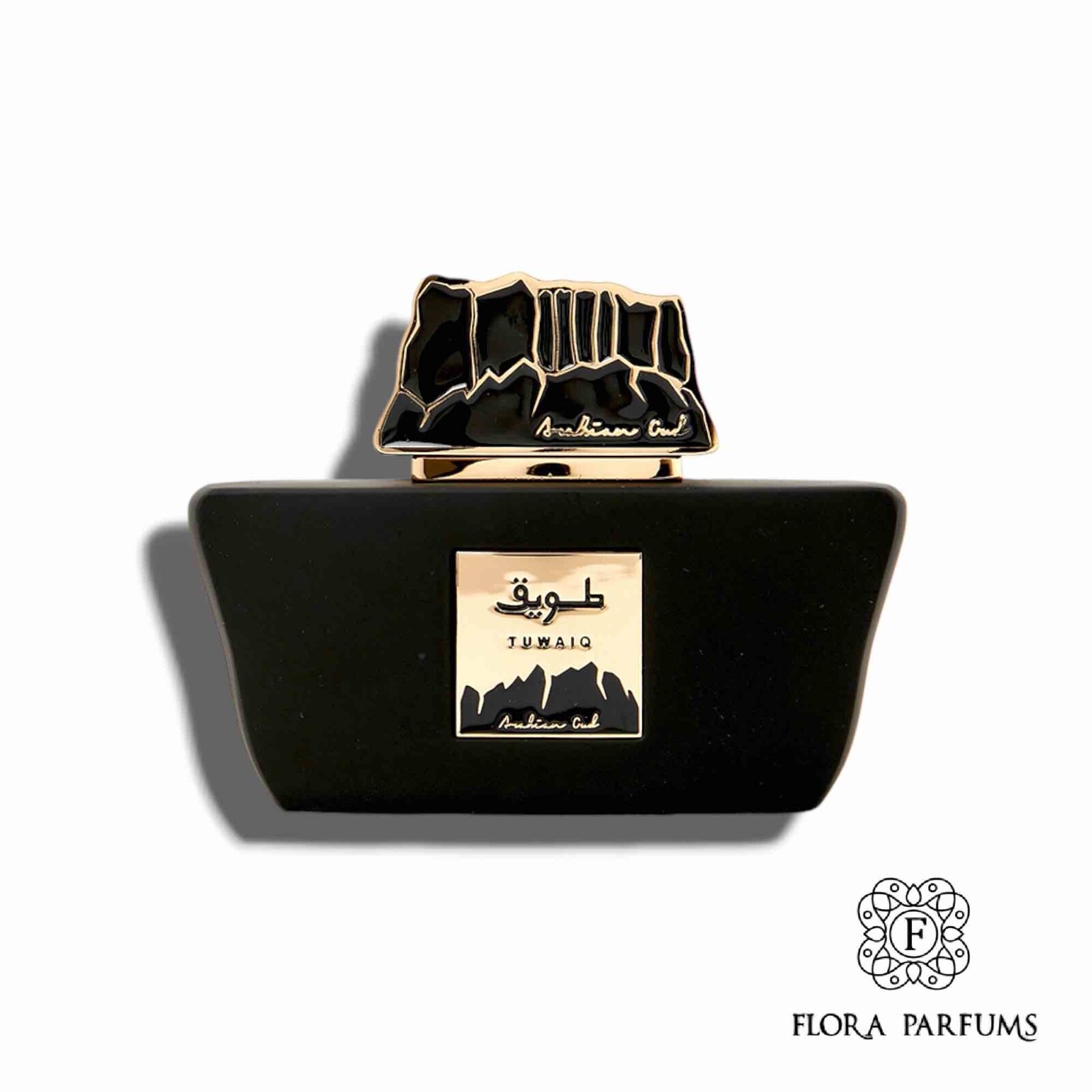 Eau de parfum pour homme Tuwaiq Arabian Oud 100ml | L'essence d'un voyage sensoriel