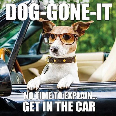 Dog-Gone-It - Willow Creek Press