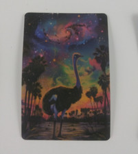 Beautiful Vibrant Ostrich At Night Sticker 2.25