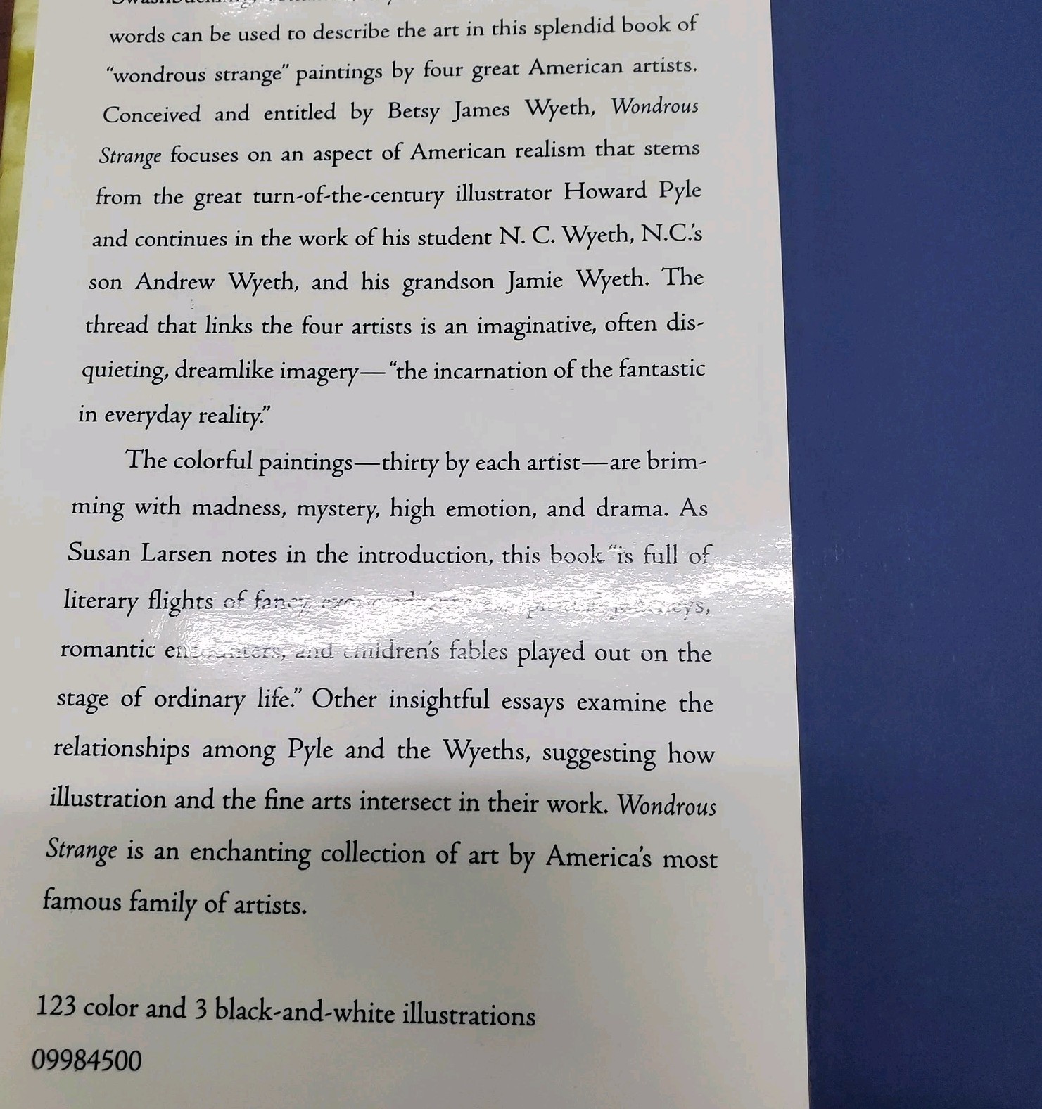 Wondrous Strange Wyeth Tradition Art Book Hardcover Howard Pyle Andrew James