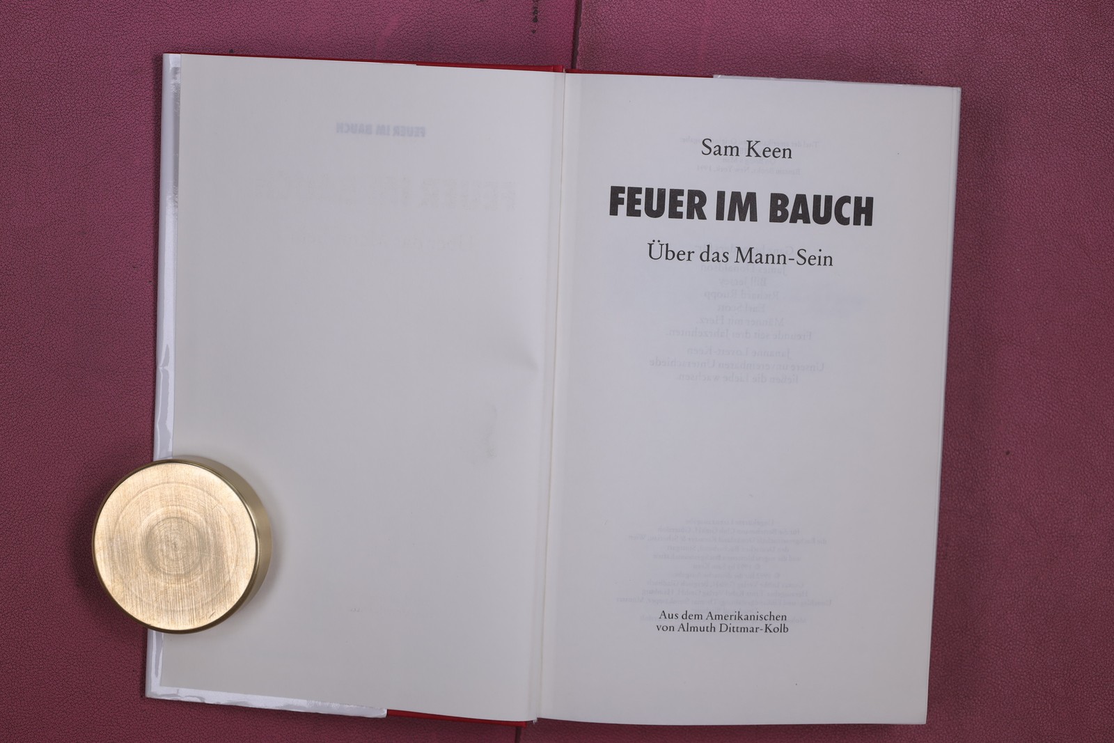 349003 Sam Keen FEUER IM BAUCH Deutscher Taschenbuch Verlag Über das Mann Sein