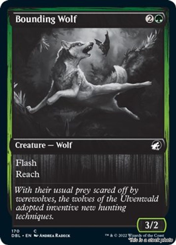 MTG Bounding Wolf Card #170 Innistrad: Double Feature LP Magic