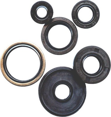 VERTEX 1986-1987 KLF300A Bayou 2X4 [SRA] Kawasaki OIL SEAL SET 822242