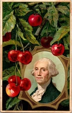 Antique George Washington Embossed PATRIOTIC POSTCARD 1910
