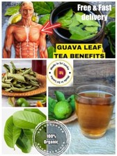 100 Original Guava Leaves Herbal Tea Weight Loss Fat Burner Health Benefit