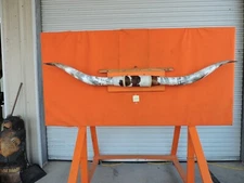 MOUNTED STEER BULL HORNS 7' 6" tip-tip Bases 14" COW BULL HORN LONGHORN 258