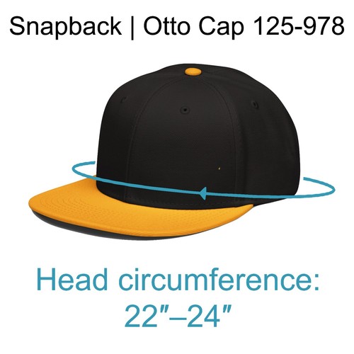Roswell Nuevo México Extraterrestre OVNI Snapback Plano Bill Sombrero para Hombres Mujeres - Imagen 36 de 48